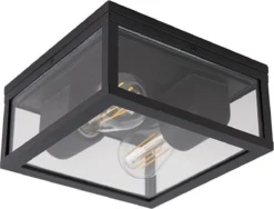 QAZQA Charlois - Design Plafondlamp Voor Buiten - 2 Lichts - L 24 Cm - Zwart - Buitenverlichting -Tuinmeubelseries Winkel 1200x913 5