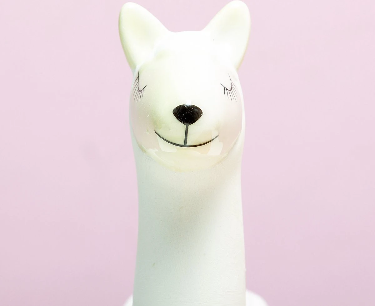 Gift Republic Lama Bloempot Met Zaadjes Gift Republic Lama Bloempot Met Zaadjes -Tuinmeubelseries Winkel 1200x980 5