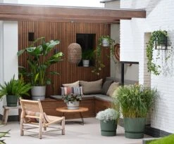 Elho Greenville Rond 30 - Grote Bloempot Voor Buiten - Gemaakt Van Gereycled Plastic - Ø 29.5 X H 27.8 Cm - Blad Groen -Tuinmeubelseries Winkel 1200x996 2