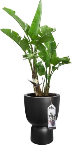 Elho Pure Coupe 41 - Bloempot Voor Binnen & Buiten - Ø 41.3 X H 57.9 Cm - Zwart/Zwart -Tuinmeubelseries Winkel 595x1200