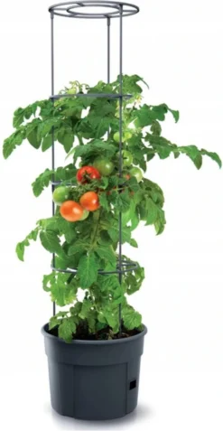TOMATENPOT VOOR HET KWEKEN VAN TOMATEN PROSPERPLAST 28L -Tuinmeubelseries Winkel 621x1200 1