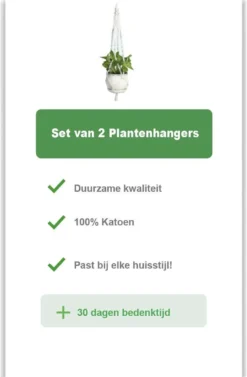 Merkloos Plantenhanger Macramé - Luxe Gevlochten Touw Katoen - 2 Stuks - Plantenpot Ophangen -Tuinmeubelseries Winkel 786x1200 4