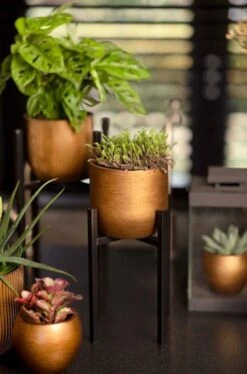 Capi Europe - Bloempot Bol Retro - 23x21 - Goud - Bloempot Voor Binnen - BRTG134 -Tuinmeubelseries Winkel 792x1200 1