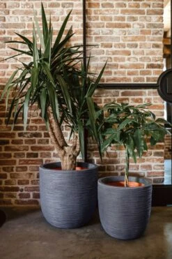 Capi Europe - Bloempot Bol Rib NL - 43x41 - Antraciet - Voor Binnen En Buiten - KOFZ933 -Tuinmeubelseries Winkel 800x1200 100