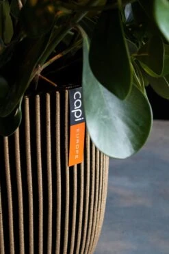 Capi Europe - Bloempot Bol Groove NL - 35x34 - Goud - Voor Binnen En Buiten - KGVGB932 -Tuinmeubelseries Winkel 800x1200 105