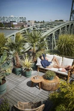 Elho Greenville Rond 30 - Grote Bloempot Voor Buiten - Gemaakt Van Gereycled Plastic - Ø 29.5 X H 27.8 Cm - Blad Groen -Tuinmeubelseries Winkel 800x1200 107