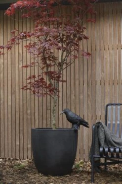 Capi Europe - Bloempot Bol Smooth NL - 43x41 - Zwart - Voor Binnen En Buiten - KBL933 -Tuinmeubelseries Winkel 800x1200 112