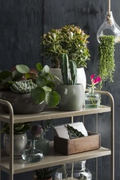 Mica Decorations Lester Bloempot - H31 X Ø33 Cm - Terracotta - Groen -Tuinmeubelseries Winkel 800x1200 117