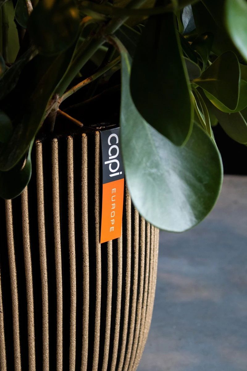 Capi Europe - Vaas elegant laag Groove NL - 46x58 - Goud - Voor binnen en buiten - KGVGB783 Capi Europe - Vaas Elegant Laag Groove NL - 46x58 - Goud - Voor Binnen En Buiten - KGVGB783 -Tuinmeubelseries Winkel 800x1200 122