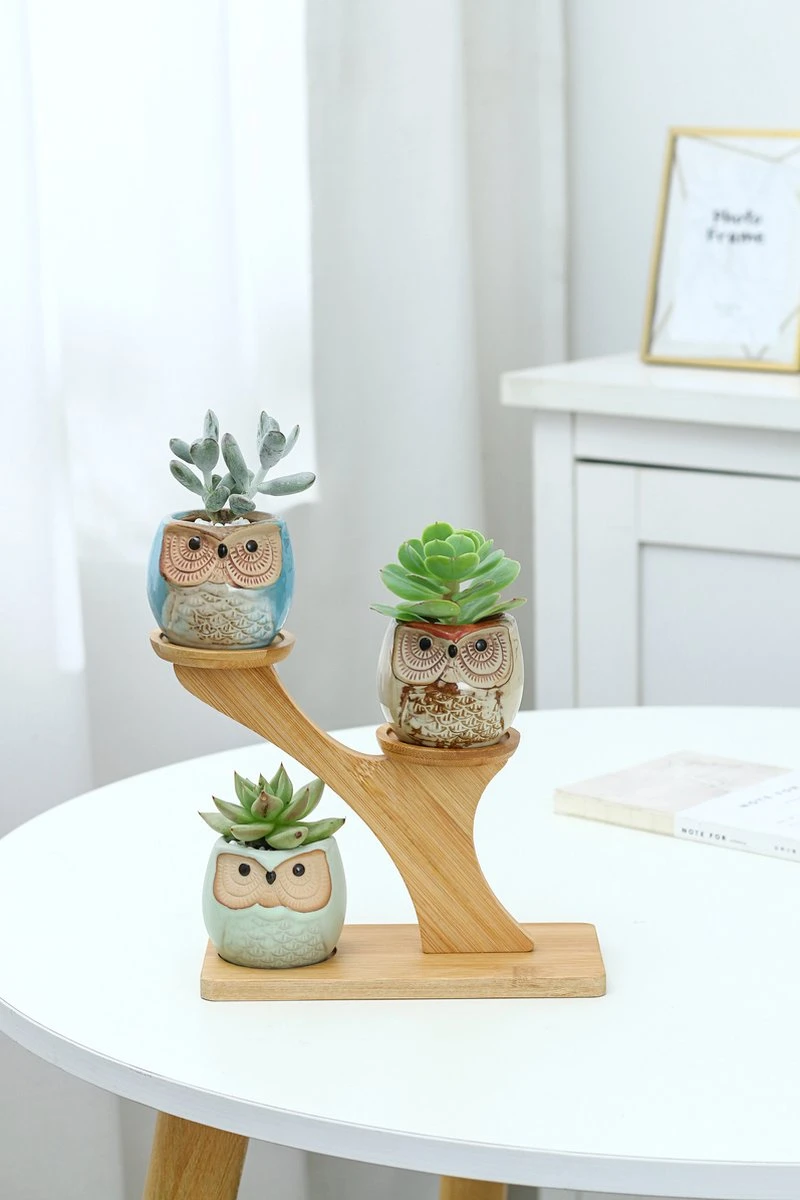 Luxe Bamboe Houten Boom met 3 Keramiek Uil Bloempotten/Plantenpotten op Standaard/Voet voor Binnen en Buiten - Modern Design Bloempot/Plantenpot op Poten/Pootjes-Plantenbak Mini Cactus nep Plant Pot Houder - Kleine Bloembakken Plantenrek/Plantenkurk Luxe Bamboe Houten Boom Met 3 Keramiek Uil Bloempotten/Plantenpotten Op Standaard/Voet Voor Binnen En Buiten - Modern Design Bloempot/Plantenpot Op Poten/Pootjes-Plantenbak Mini Cactus Nep Plant Pot Houder - Kleine Bloembakken Plantenrek/Plantenkurk -Tuinmeubelseries Winkel 800x1200 93