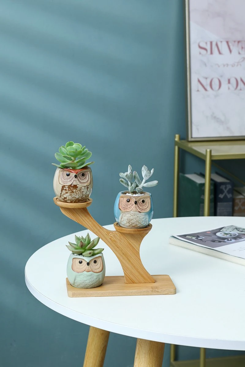 Luxe Bamboe Houten Boom met 3 Keramiek Uil Bloempotten/Plantenpotten op Standaard/Voet voor Binnen en Buiten - Modern Design Bloempot/Plantenpot op Poten/Pootjes-Plantenbak Mini Cactus nep Plant Pot Houder - Kleine Bloembakken Plantenrek/Plantenkurk Luxe Bamboe Houten Boom Met 3 Keramiek Uil Bloempotten/Plantenpotten Op Standaard/Voet Voor Binnen En Buiten - Modern Design Bloempot/Plantenpot Op Poten/Pootjes-Plantenbak Mini Cactus Nep Plant Pot Houder - Kleine Bloembakken Plantenrek/Plantenkurk -Tuinmeubelseries Winkel 800x1200 94