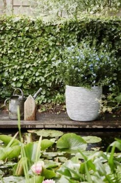 Capi Europe - Bloempot Bol Rib NL - 35x34 - Ivoor - Voor Binnen En Buiten - KOFI932 -Tuinmeubelseries Winkel 800x1200 97