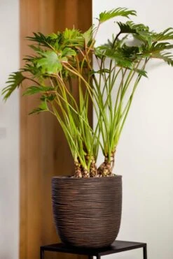 Capi Europe - Bloempot Bol Rib NL - 43x41 - Antraciet - Voor Binnen En Buiten - KOFZ933 -Tuinmeubelseries Winkel 800x1200 99