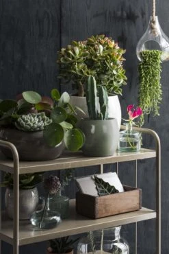 Mica Decorations Lester Bloempot - H31 X Ø33 Cm - Terracotta - Groen -Tuinmeubelseries Winkel 801x1200 4