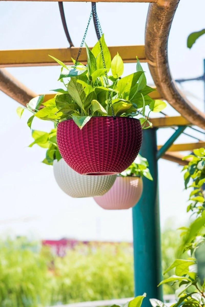 Hangpot Kunststof – Bloempot hangend – Binnen & Buiten- Plantenhanger –Incl. Afvoerstop – 26 cm - Zwart Hangpot Kunststof – Bloempot Hangend – Binnen & Buiten- Plantenhanger –Incl. Afvoerstop – 26 Cm - Zwart -Tuinmeubelseries Winkel 801x1200 5