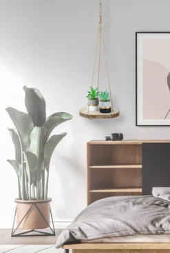 Set Van 2 Boomstam Rond Wandrek Plantenhangers - Boho Jute Houten Plantenrek - Hangpot Voor Binnen/Buiten - Hangende Bloempot Plank - Hangplant Houder - Bohemian Macrame Stijl Wandhanger - Hangplank Plant Hanger - Planthanger - Ø Rond 25-20cm -Tuinmeubelseries Winkel 809x1200