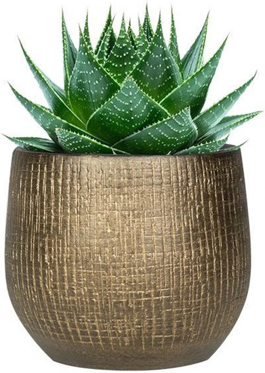 Plantenpot/bloempot in een strakke Modern design look metal goud Dia 22 cm en Hoogte 20 cm Plantenpot/bloempot In Een Strakke Modern Design Look Metal Goud Dia 22 Cm En Hoogte 20 Cm -Tuinmeubelseries Winkel 853x1200 2
