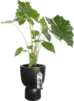 Elho Pure Coupe 41 - Bloempot Voor Binnen & Buiten - Ø 41.3 X H 57.9 Cm - Zwart/Zwart -Tuinmeubelseries Winkel 877x1200 2