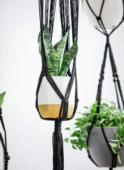4 Stuks Luxe Macrame Plantenhangers - Boho Handgeweven Katoen Hangpot Voor Binnen/Buiten - Hangende Bloempot Met Kralen - Macramé Touw/Koord Hangplant Houder - Bohemian Wandhanger Decoratie - Plant Hanger - Verticale Tuin Bloempothouder Planthanger -Tuinmeubelseries Winkel 880x1200 4