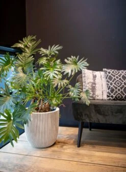 Capi Europe - Bloempot Bol Groove NL - 35x34 - Goud - Voor Binnen En Buiten - KGVGB932 -Tuinmeubelseries Winkel 883x1200 1