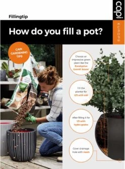 Capi Europe - Bloempot Bol Rib NL - 54x52 - Zwart - Voor Binnen En Buiten - KBLR935 -Tuinmeubelseries Winkel 894x1200 2