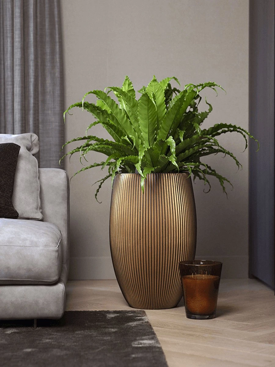 Capi Europe - Vaas elegant deluxe Groove XL - 40x61 - Goud - Bloempot voor binnen - Opening ⌀29 - GVGB1131 Capi Europe - Vaas Elegant Deluxe Groove XL - 40x61 - Goud - Bloempot Voor Binnen - Opening ⌀29 - GVGB1131 -Tuinmeubelseries Winkel 900x1200 32