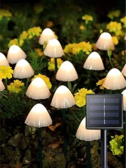 Cynergie - Tuinverlichting Op Zonneenergie - 20 X Led Lampen - Solar Lampjes Met Paddenstoelen - Kerstverlichting Buiten 5 Cynergie - Tuinverlichting Op Zonneenergie - 20 X Led Lampen - Solar Lampjes Met Paddenstoelen - Kerstverlichting Buiten -Tuinmeubelseries Winkel 905x1200
