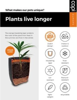 Capi Europe - Bloempot Bol Smooth NL - 43x41 - Zwart - Voor Binnen En Buiten - KBL933 -Tuinmeubelseries Winkel 917x1200 4