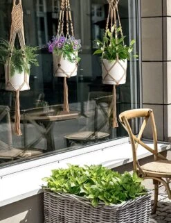 5 Stuks Jute Macrame Plantenhangers - Boho Handgeweven Katoen Hangpot Voor Binnen/Buiten - Hangende Bloempot Met Kralen - Macramé Touw/Koord Hangplant Houder - Bohemian Wandhanger Decoratie - Plant Hanger - Verticale Tuin Bloempothouder Planthanger -Tuinmeubelseries Winkel 923x1200 3