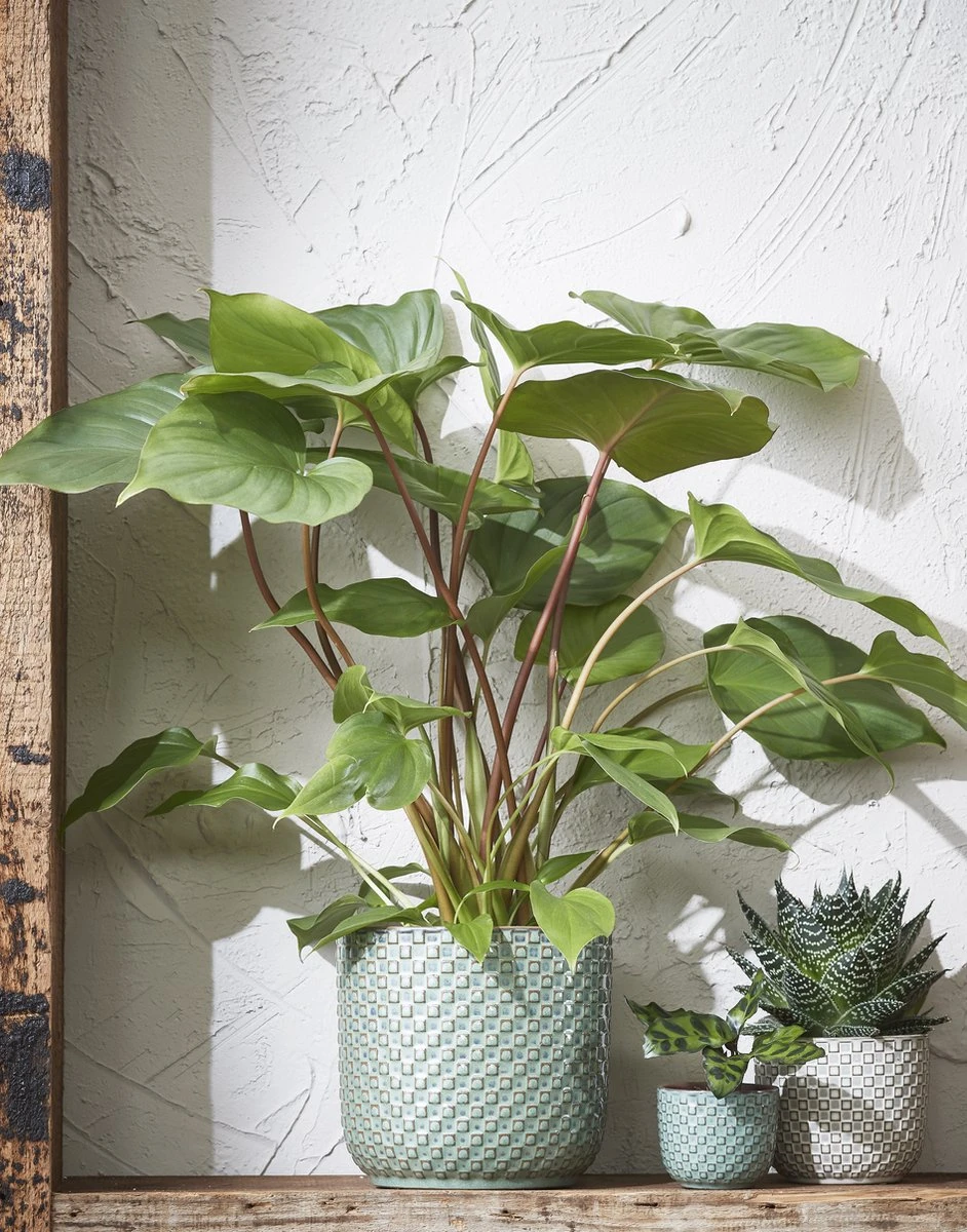 Mica Decorations Daan Bloempot - H17,5 x Ø19 cm - Groen Mica Decorations Daan Bloempot - H17,5 X Ø19 Cm - Groen -Tuinmeubelseries Winkel