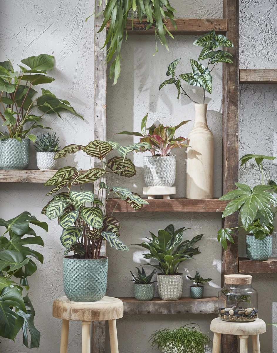 Mica Decorations Daan Bloempot - H17,5 x Ø19 cm - Groen Mica Decorations Daan Bloempot - H17,5 X Ø19 Cm - Groen -Tuinmeubelseries Winkel