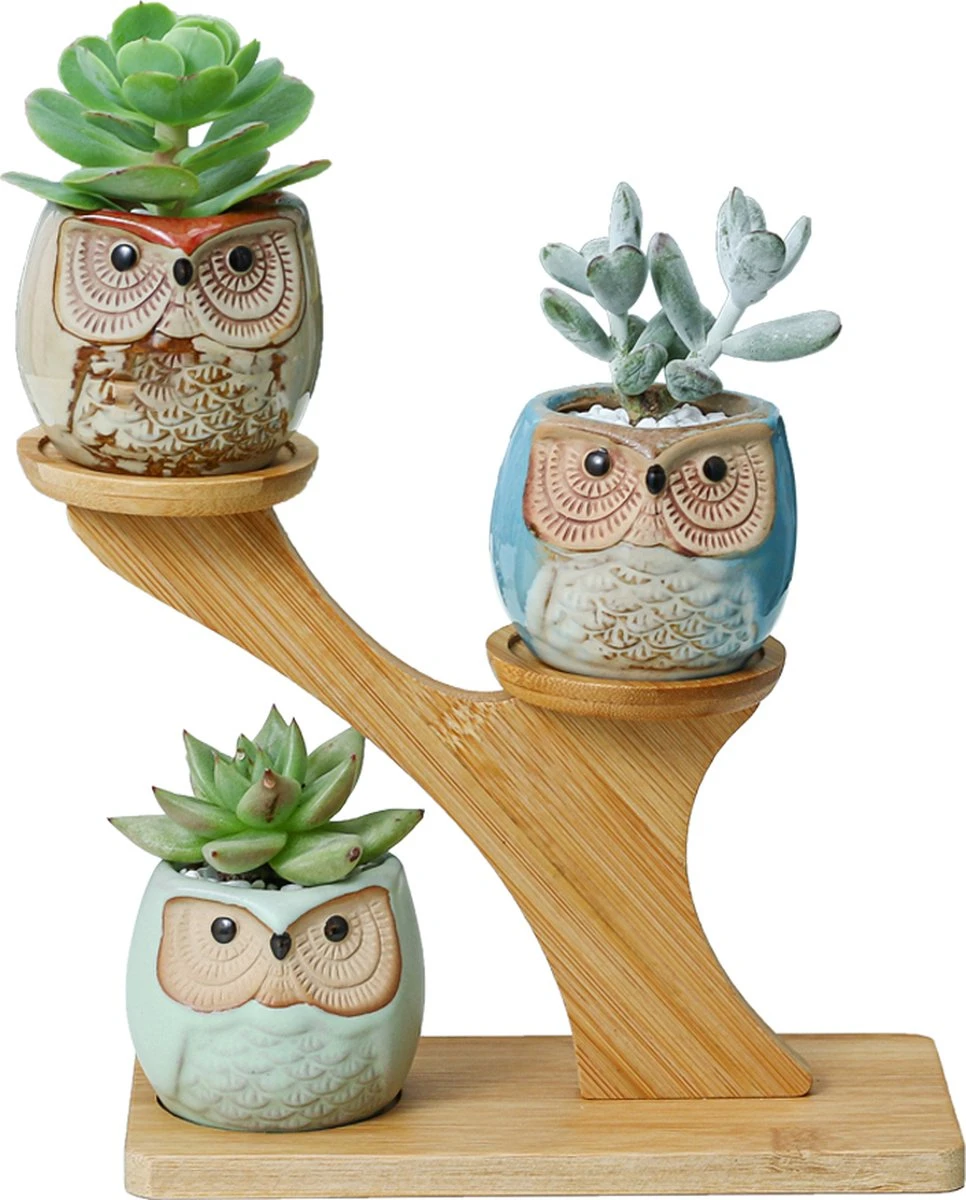 Luxe Bamboe Houten Boom met 3 Keramiek Uil Bloempotten/Plantenpotten op Standaard/Voet voor Binnen en Buiten - Modern Design Bloempot/Plantenpot op Poten/Pootjes-Plantenbak Mini Cactus nep Plant Pot Houder - Kleine Bloembakken Plantenrek/Plantenkurk Luxe Bamboe Houten Boom Met 3 Keramiek Uil Bloempotten/Plantenpotten Op Standaard/Voet Voor Binnen En Buiten - Modern Design Bloempot/Plantenpot Op Poten/Pootjes-Plantenbak Mini Cactus Nep Plant Pot Houder - Kleine Bloembakken Plantenrek/Plantenkurk -Tuinmeubelseries Winkel 966x1200 2
