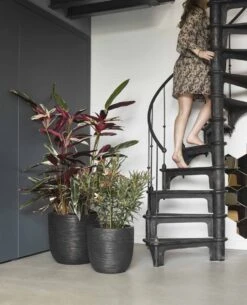 Capi Europe - Bloempot Bol Rib NL - 54x52 - Zwart - Voor Binnen En Buiten - KBLR935 -Tuinmeubelseries Winkel 972x1200